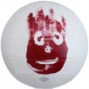 Volejbalová lopta Wilson MR. WILSON