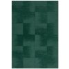 Flair Rugs , 120x170 cm Kusový koberec Demi Check Ombre Green, zelená, obývacia izba Flair Rugs , 120x170 cm Kusový koberec Demi Check Ombre Green, zelená, obývacia izba