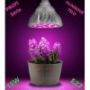 15 W - PROFI LED GROW žiarovka pre všetky rastliny, E27, High-power+, ružová 15 W - PROFI LED GROW žiarovka pre všetky rastliny, E27, High-power+, ružová