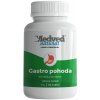 Medveď natural Gastro pohoda 60 kapsúl Medveď natural Gastro pohoda 60 kapsúl