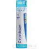 Causticum gra.1 x 4 g 9CH Causticum gra.1 x 4 g 9CH