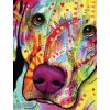 Dean Russo Labrador Journal (Dean Russo)() Dean Russo Labrador Journal (Dean Russo)()