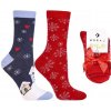 Dámske vianočné ponožky CSLS300-045 - 2 páry - 35-38 / modrá/červená Dámske vianočné ponožky CSLS300-045 - 2 páry - 35-38 / modrá/červená