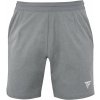 Pánske šortky Tecnifibre Club Short Silver XXL Pánske šortky Tecnifibre Club Short Silver XXL