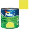 Dulux Colours Of the World, ryžové polia 2,5 l, ryžové polia Dulux Colours Of the World, ryžové polia 2,5 l, ryžové polia