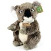 Rappa Plyšová koala 22 cm ECO-FRIENDLY Rappa Plyšová koala 22 cm ECO-FRIENDLY