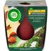 Air Wick Winter Woodland 105 g