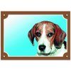Farebná ceduľka Pozor pes Beagle Farebná ceduľka Pozor pes Beagle