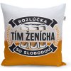 Sablio Vankúš Rozlúčka so slobodou Tím ženícha 40x40