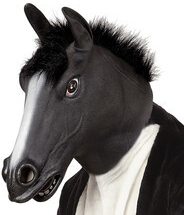 Maska čierneho koňa