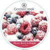 Vosk MERRY BERRY & BRIGHT, 59g, do arómy lampy | Goose Creek Vosk MERRY BERRY & BRIGHT, 59g, do arómy lampy | Goose Creek