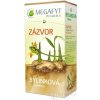 MEGAFYT Bylinková lekáreň ZÁZVOR bylinný čaj 20x1,5 g (30 g) MEGAFYT Bylinková lekáreň ZÁZVOR bylinný čaj 20x1,5 g (30 g)