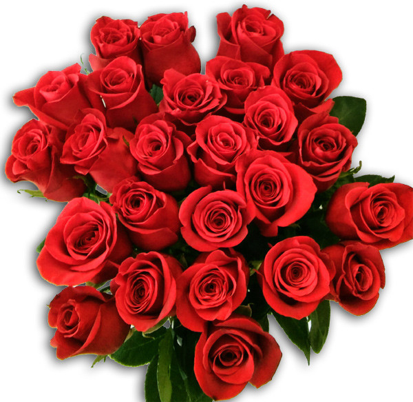 Kytica Červené ruže, 1 ruža, červená
