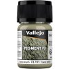 Vallejo Pigments: Green Earth 35ml Vallejo Pigments: Green Earth 35ml