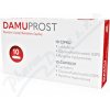 Damuprost rektální čípky 10 ks Damuprost rektální čípky 10 ks