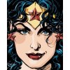 Zuty Wonder Woman prebal komiksu 40 x 50 cm vypnuté plátno na rám 8596530192978 Zuty Wonder Woman prebal komiksu 40 x 50 cm vypnuté plátno na rám 8596530192978