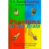 Phantoms in the Brain (V S Ramachandran)(Brožovaná) Phantoms in the Brain (V S Ramachandran)(Brožovaná)