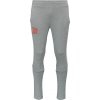 Pánske tepláky Puma, TEAMEVOSTRIPE PANTS Sivá,Červená S Pánske tepláky Puma, TEAMEVOSTRIPE PANTS Sivá,Červená S