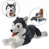 pes husky siberian VEĽKÝ LIVLIG IKEA