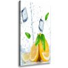 Vertikálny foto obraz na plátne Citrón a ľad 50x100 cm Vertikálny foto obraz na plátne Citrón a ľad 50x100 cm