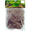 Lucky Reptile Spanish Moss 50 g Lucky Reptile Spanish Moss 50 g