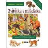 Zvířátka a mláďátka - Hledej a Objevuj Zvířátka a mláďátka - Hledej a Objevuj