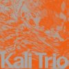 KALI TRIO, THE PLAYFUL ABSTRACT, CD KALI TRIO, THE PLAYFUL ABSTRACT, CD