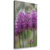 Vertikálny foto obraz na plátne Kvety cesnaku 50x100 cm Vertikálny foto obraz na plátne Kvety cesnaku 50x100 cm