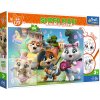 TREFL Oboustranné puzzle 44 koček SUPER MAXI 24 dílků TREFL Oboustranné puzzle 44 koček SUPER MAXI 24 dílků