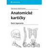 Anatomické kartičky - Filip Kolouch Anatomické kartičky - Filip Kolouch