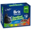 Brit Premium Cat Meat Sterilised mix v omáčke Multi 1200 g 12 x 100 g Brit Premium Cat Meat Sterilised mix v omáčke Multi 1200 g 12 x 100 g