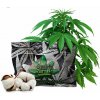 Canna Cotton organická vata
