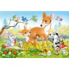 CASTORLAND Puzzle Malý koloušok MAXI 40 dielikov CASTORLAND Puzzle Malý koloušok MAXI 40 dielikov