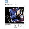 HP Professional 7MV80A