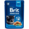 Brit Premium Cat kapsička Chicken Chunks for Kitten 100 g Brit Premium Cat kapsička Chicken Chunks for Kitten 100 g