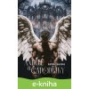 E-kniha Andělé a čarodějky - Karolína Škachová E-kniha Andělé a čarodějky - Karolína Škachová