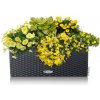 Lechuza geobra Lechuza Balconera Cottage ALL-IN-ONE-SET Farba: Antracitová, Veľkosť: 50 (50 x 19 / 19 cm) Lechuza geobra Lechuza Balconera Cottage ALL-IN-ONE-SET Farba: Antracitová, Veľkosť: 50 (50 x 19 / 19 cm)