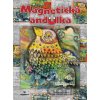Magnetická andulka Magnetická andulka