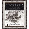 Evoluce - Gerard Cheshire, Petr Holčák Evoluce - Gerard Cheshire, Petr Holčák