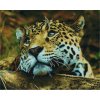 Diamantové malování - Krásný leopard - 40x50cm Diamantové malování - Krásný leopard - 40x50cm