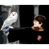 ZUTY Maľovanie podľa čísel - HARRY POTTER S HEDVIGOU NA RUKE Rámovanie: vypnuté plátno na rám, Rozmer: 40x50 cm ZUTY Maľovanie podľa čísel - HARRY POTTER S HEDVIGOU NA RUKE Rámovanie: vypnuté plátno na rám, Rozmer: 40x50 cm