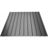 Plotový obojstranne farebný plech Bilka T12, 2000 x 1140mm RAL 7024 (grafit) lesklá