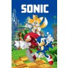 Jerry Fabrics Detská fleecová deka Sonic 023