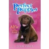 Perfect Puppies 1: Alfie the Cheeky Puppy - Julie Sykes, Scholastic Perfect Puppies 1: Alfie the Cheeky Puppy - Julie Sykes, Scholastic