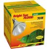 Lucky Reptile Bright Sun Flood Jungle 70 W Lucky Reptile Bright Sun Flood Jungle 70 W