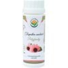 Salvia Paradise Echinacea extrakt 60 kapsúl