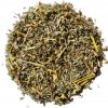 Kotvičník zemný - vňať BIO, balenie 50 g Kotvičník zemný - vňať BIO, balenie 50 g