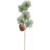 MagicHome Vetvička borovicová so šiškou 29 cm MagicHome Vetvička borovicová so šiškou 29 cm