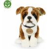 Eco-Friendly Rappa pes boxer 27 cm