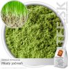 ZDRAVÉ POTRAVINY Mladý jačmeň – prášok (100g) ZDRAVÉ POTRAVINY Mladý jačmeň – prášok (100g)